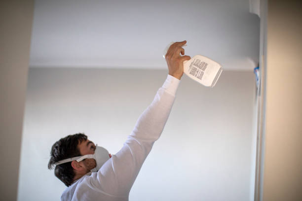 Best Home Mold Removal  in Utica, IN