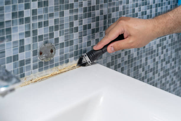 Best Best Mold Removal Companies  in Utica, IN