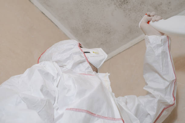 Best Professional Mold Removal  in Utica, IN